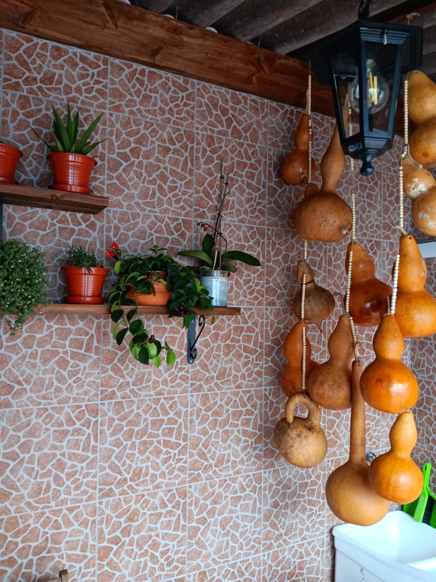 Casa Da Rosarinha Villa Água de Alto Dış mekan fotoğraf